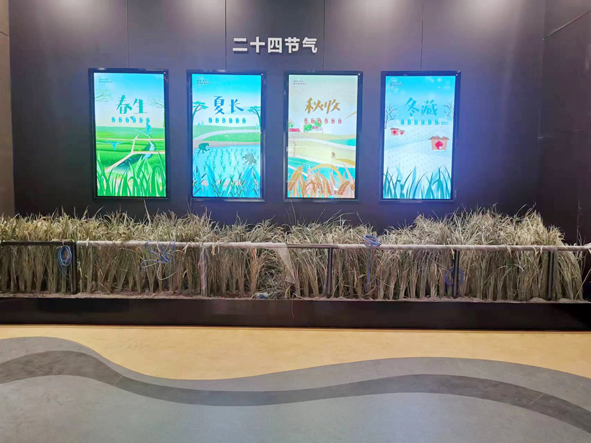 造景4.jpg